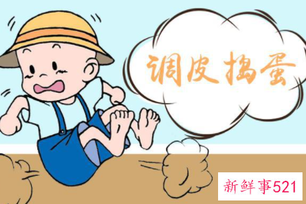 乖宝变成小飞贼的正确引导