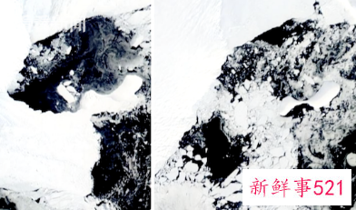 南极一洛杉矶相仿冰架日前崩解