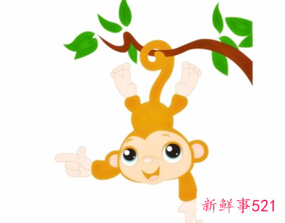 92年属猴的婚姻幸福