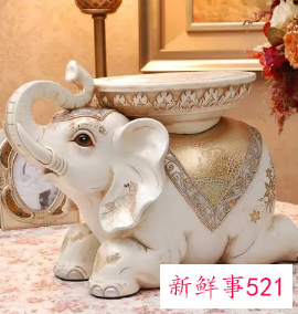 梦到白色的大象