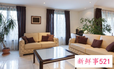 客厅放什么东西比较好看