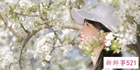 十二星座女颜值排行