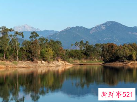 梦见一大片水代表什么