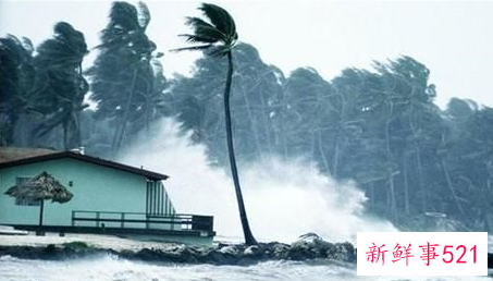 飓风龙卷风台风区别