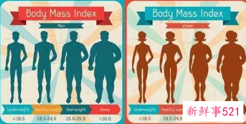 BMI体重标准