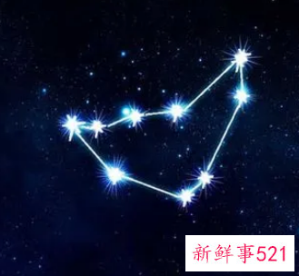 摩羯座属什么好