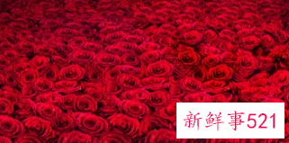 2月14要送女生什么礼物