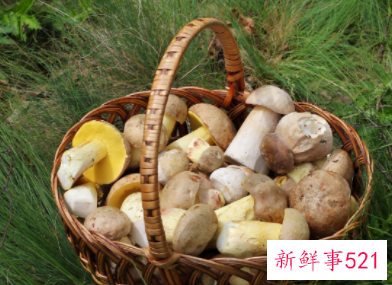 吃凉的对身体的危害有哪些