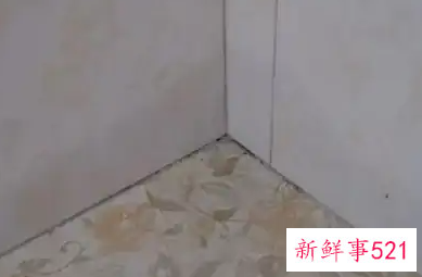 下雨天地面瓷砖全是水怎么办