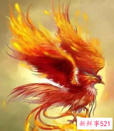 十二星座专属灵兽