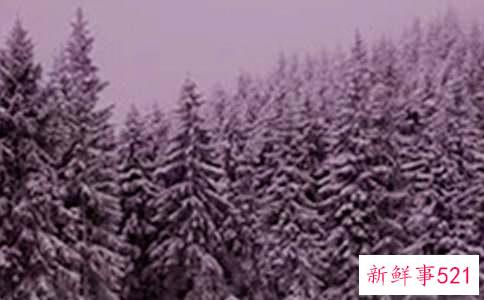 小雪节气应怎样调控心情