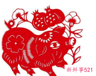 属猪和属蛇能做夫妻吗