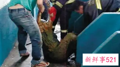 梦见儿子死在粪坑里有什么征兆