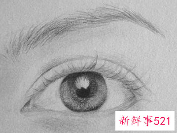素描画眼睛的步骤图 眉毛