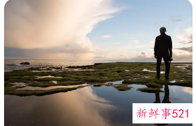 好男人的标准有什么