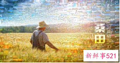 联合国生物多样性峰会举办时间