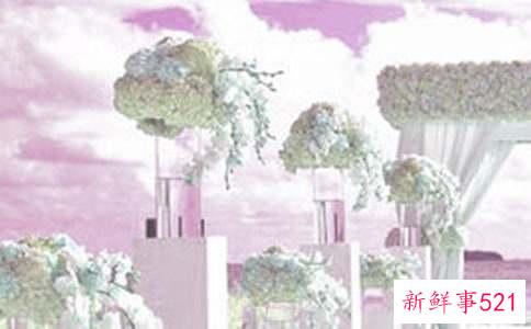 最有创意的婚礼流程具体做法