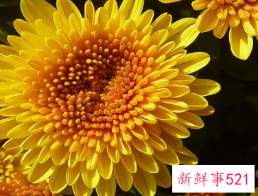 有暴力倾向的女人有哪些症状