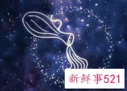 知识渊博的星座女