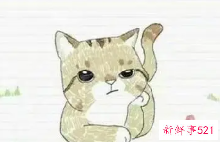 表白情话最暖心一段话有哪些呢