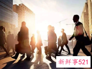 新人入职对公司的建议