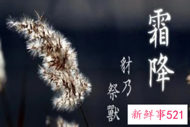 霜降是什么意思含义