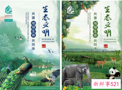 联合国生物多样性峰会举办时间