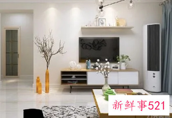 客厅电视柜两边适合摆放什么植物