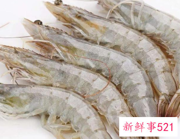 女性阳虚体质吃什么好