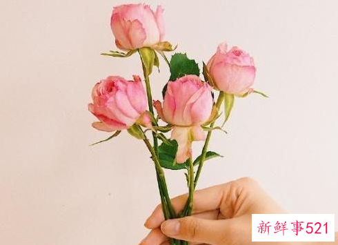 情侣暖心情话的句子