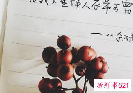 表白情话最暖心一段话有哪些呢