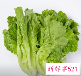 每天吃生菜有什么危害