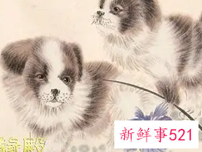 男属狗与属蛇女的婚姻