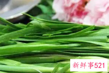 韭菜与什么相克不能吃