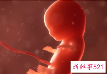 小儿生长发育最快的时期为