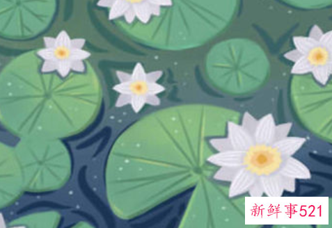 性格最招人喜欢的星座男