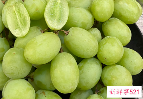 秋天吃哪些水果比较好