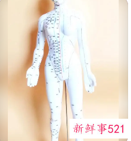 女人梦见人体模型