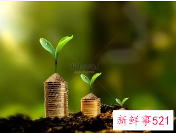 梦见树发芽的预示