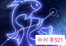 知识渊博的星座女