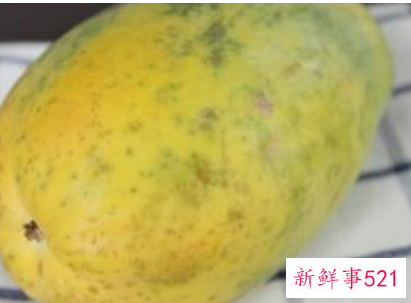 木瓜能不能丰胸效果