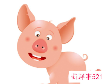 属猪和属蛇能做夫妻吗