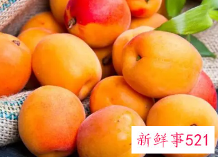 杏的营养与功效与作用