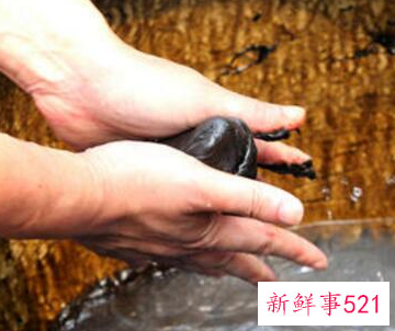 怎么保养手部美容方法