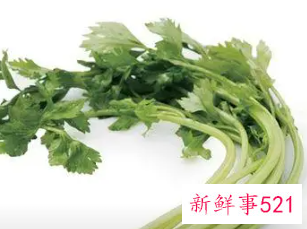 降血压最有效的蔬菜