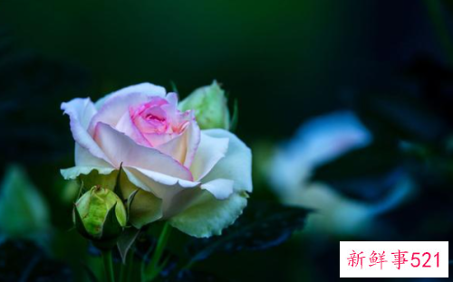 男人开始冷落你该怎么办