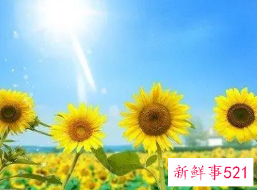 办公室文化墙标语