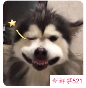 抖音三个字的口头禅