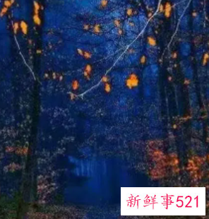 做梦梦到自己跟死人一起