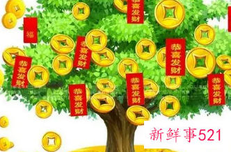 家里进财的风水